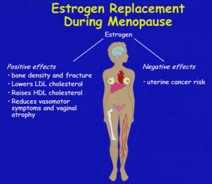 estrogen replacement